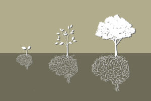Illustration of young plant growing from a brain-shaped root
