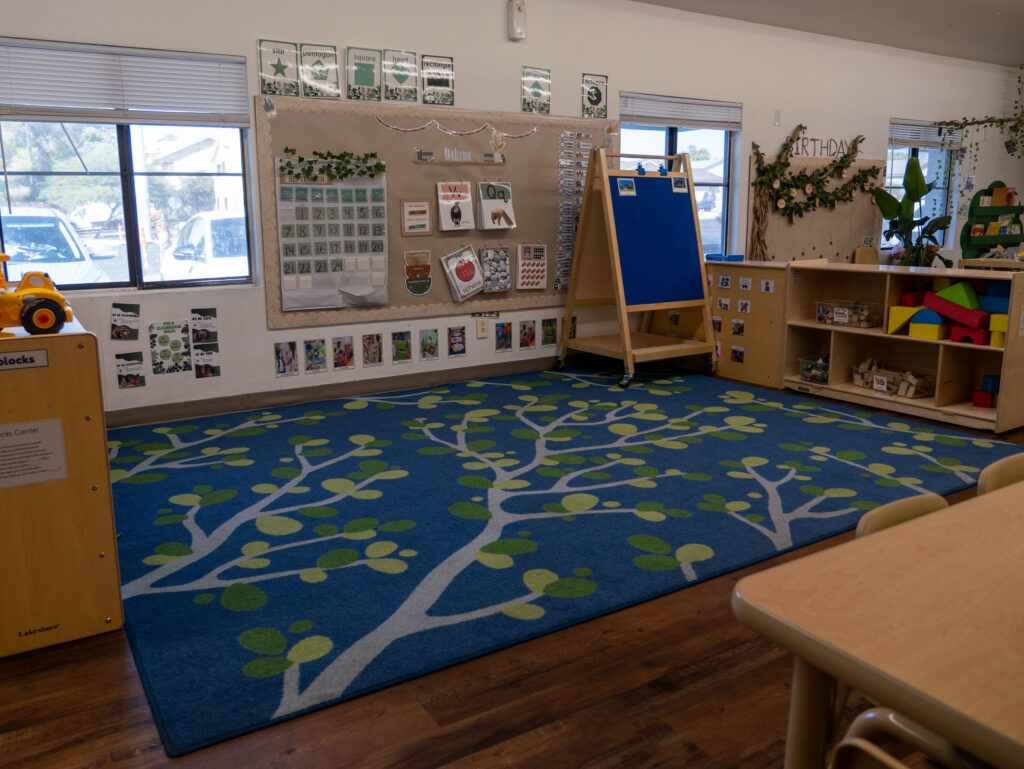 preschool classroom circle-time area with blue leaf rug and activity boards